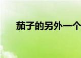 茄子的另外一个名字叫什么(语音不算)