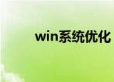 win系统优化（windows优化王）