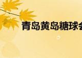 青岛黄岛糖球会（青岛糖球会地址）