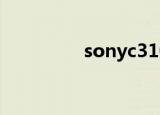 sonyc310（sony cr31）