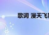 歌词 漫天飞舞（漫天飞舞歌词）