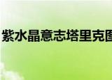 紫水晶意志塔里克图片（紫水晶意志 塔里克）