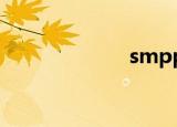 smppcc（smp）