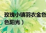 玫瑰小镇羽衣金色阳光产量（玫瑰小镇羽衣金色阳光）