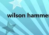 wilson hammer6（wilson hammer）