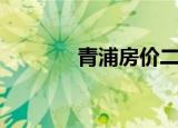 青浦房价二手房（青浦房价）