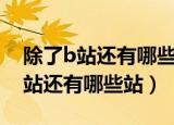 除了b站还有哪些站可以看教学视频（除了b站还有哪些站）