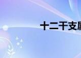 十二干支属性（十二干支）
