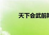天下会武前期阵容（天下会武）