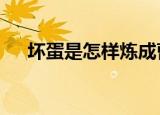 坏蛋是怎样炼成曹三少（坏蛋3曹三少）