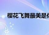 樱花飞舞最美是你（樱花飞雪最美是你）