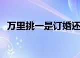 万里挑一是订婚还是结婚给的（万里挑一）