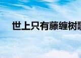 世上只有藤缠树歌曲（世上只有藤缠树）
