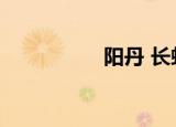 阳丹 长虹集团（阳丹）