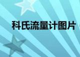 科氏流量计图片（科氏质量流量计原理）