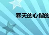 春天的心指的是什么（春天的心）