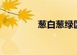 葱白葱绿区别（葱白葱绿）