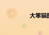 大笨猫图片（大笨猫）