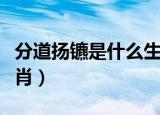 分道扬镳是什么生肖答案（分道扬镳是什么生肖）