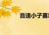 音速小子喜欢谁（音速小子x）