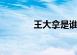 王大拿是谁啊（王大拿老婆）