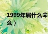 1999年属什么命 五行属什么（1999年属什么）
