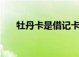 牡丹卡是借记卡还是信用卡（牡丹卡）
