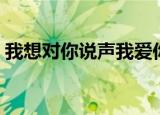 我想对你说声我爱你（多想对你说声我爱你）