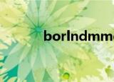 borlndmmdll丢失修复win10