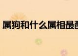属狗和什么属相最配（属狗和什么属相最配）