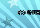 哈尔斯顿香水（波斯顿香水）