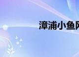 漳浦小鱼网（霞浦小鱼网）