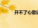 开不了心歌词含义（开不了心）