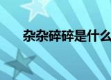 杂杂碎碎是什么意思（杂碎什么意思）