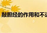 敲胆经的作用和不适人群（敲胆经的副作用）