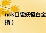 nds口袋妖怪白金金手指（口袋妖怪白金金手指）