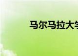 马尔马拉大学（马勒戈壁大学）