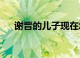 谢晋的儿子现在怎么样?（谢晋的儿子）