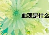 血魂是什么（血魂有什么用）