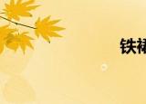铁裙子的惩罚