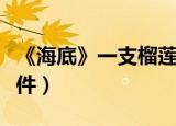 《海底》一支榴莲现场（海底一支榴莲真实事件）