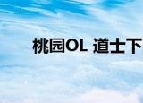 桃园OL 道士下副本很弱么（桃园ol）