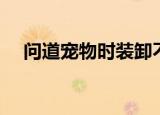 问道宠物时装卸不下来（问道宠物时装）