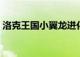 洛克王国小翼龙进化图片（洛克王国小翼龙）