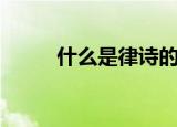 什么是律诗的对仗（什么是律诗）