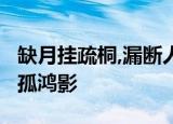 缺月挂疏桐,漏断人初静.谁见幽人独往来,缥缈孤鸿影