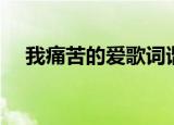 我痛苦的爱歌词谐音（我痛苦的爱歌词）