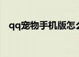 qq宠物手机版怎么打开（qq宠物打不开）
