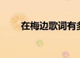在梅边歌词有多少字（在梅边歌词）