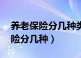 养老保险分几种类型 具体交多少钱（养老保险分几种）